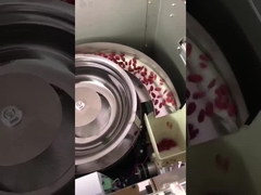 Máy đóng gói hạt dọc đa chức năng cho hạt sô-cô-la hạt ăn nhẹ