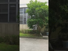 Máy đóng gói Nhà máy 1