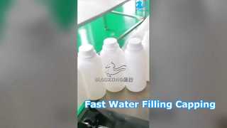 600XGZ六头矿泉水旋盖罐装