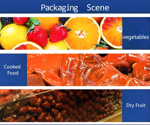 304 Stainless Steel Sealer Packing Machine FR370E Packaging Machine Food Manual Package Plastic Material Tray Sealing Machine