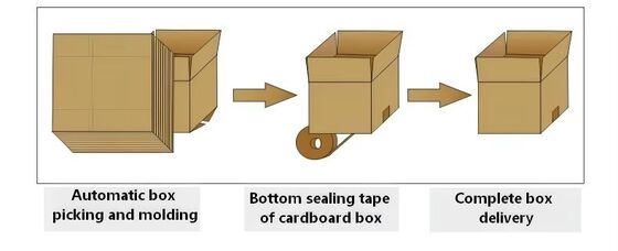 Automatic Small E-commerce High-speed Carton Unboxing Machine Box Forming Cartoning Erector