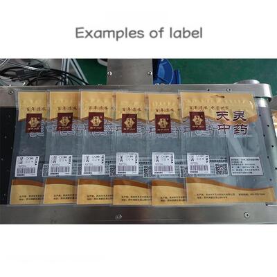Manufacturer Direct Sale Fully Automatic Lift-and-Labeling Machine CH-602F for Food Self-Sealing Bags and PE Plastic Bags
